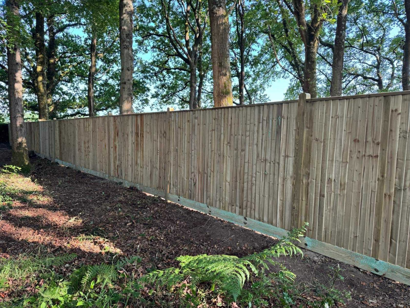 Timber boundary fencing alongside mature trees