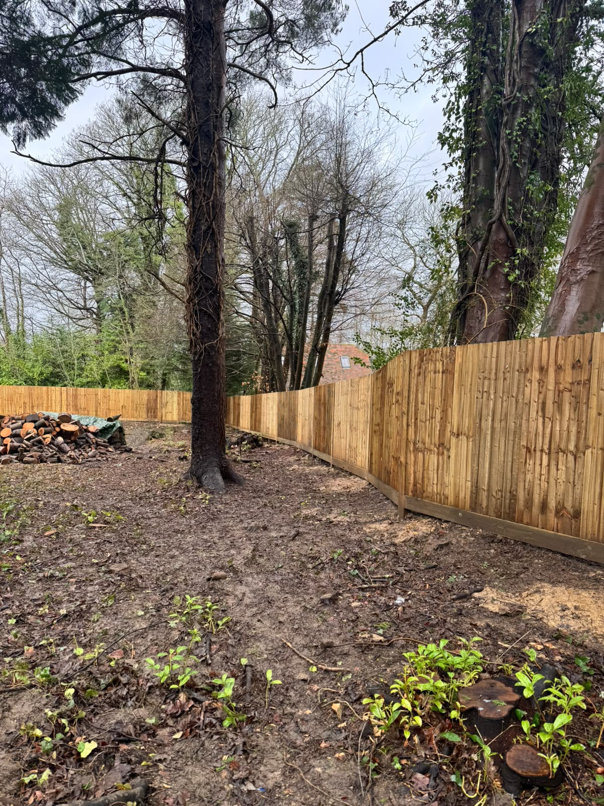 Closeboard panels on timber posts between mature trees