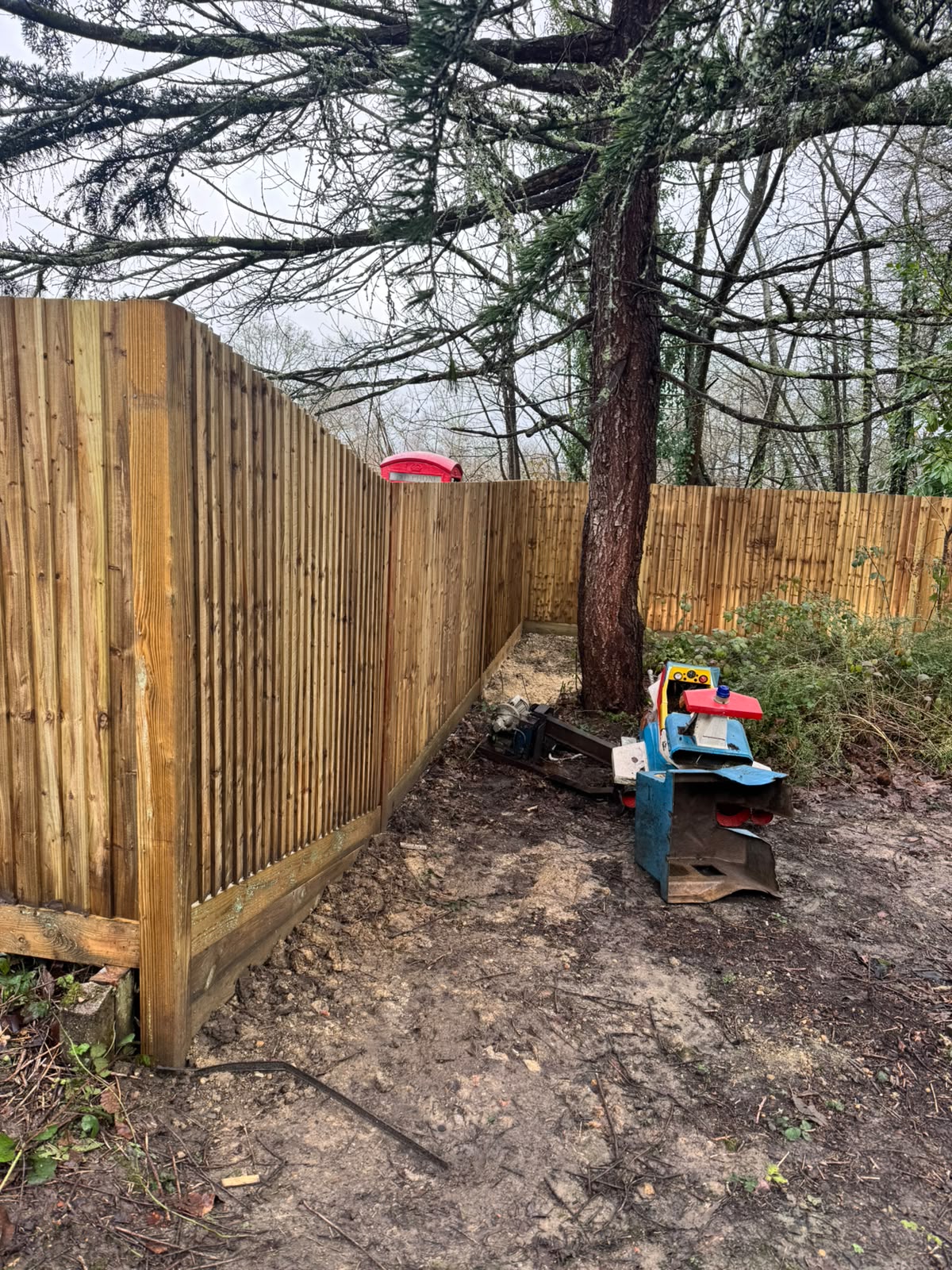 Closeboard panels curving around a mature garden tree
