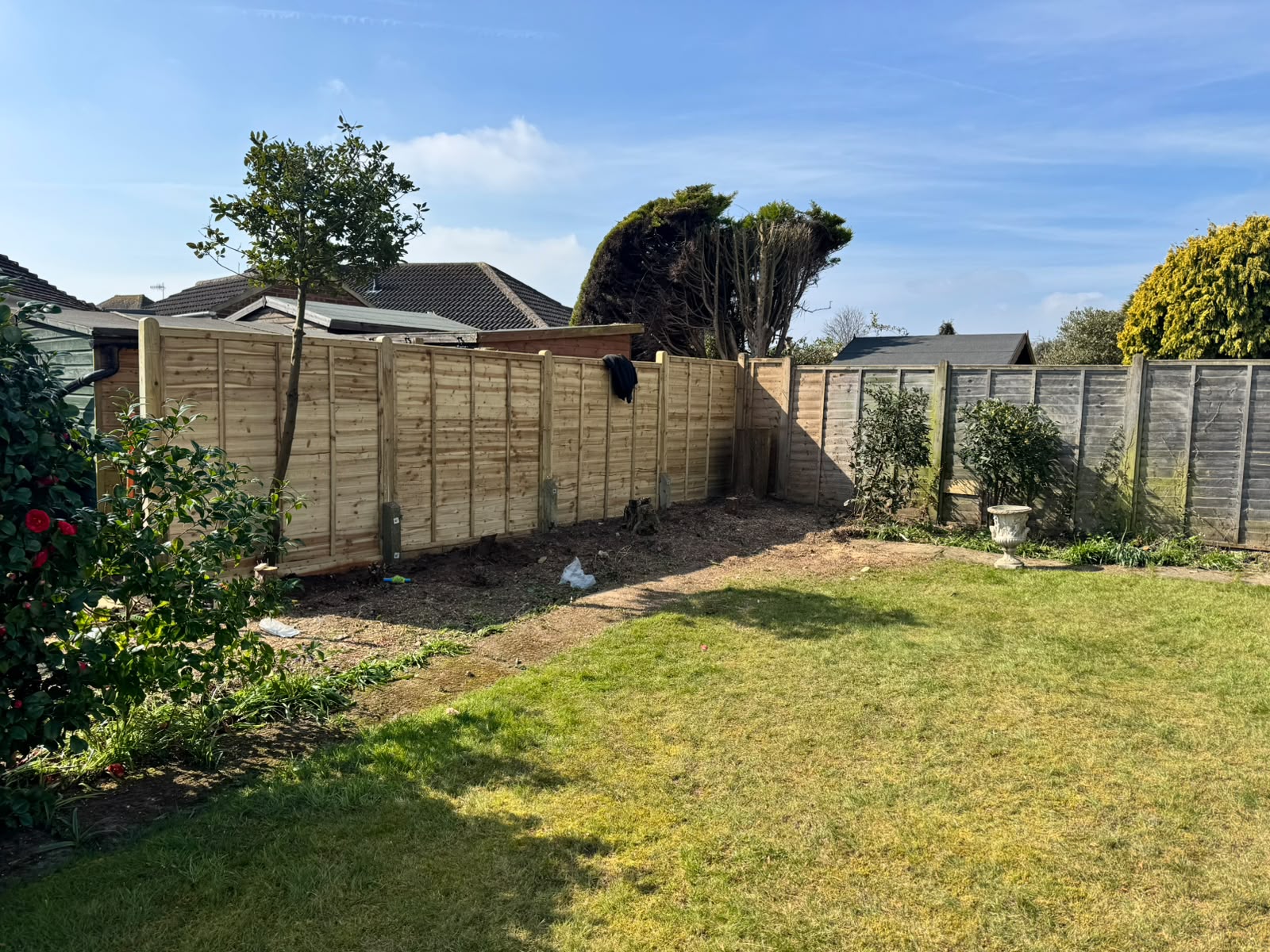 New closeboard boundary panels on timber posts in a back garden